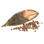 Semilla_de_Baobab_Ingrediente_Activo_MiPelazo